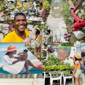 Montego Bay Jamaica Transfers, Excursions